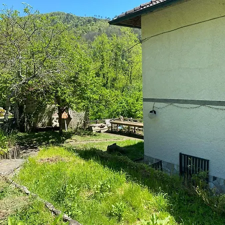 Woods House *