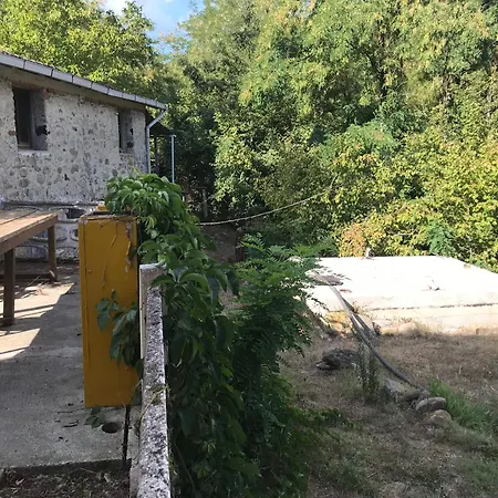 Woods House *