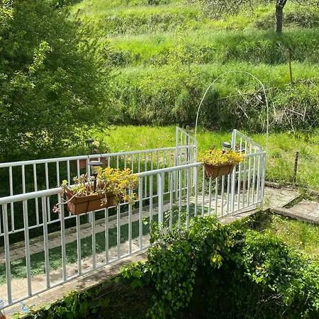 Appartamento Woods House