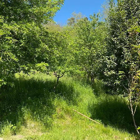 Woods House Appartamento Mangia