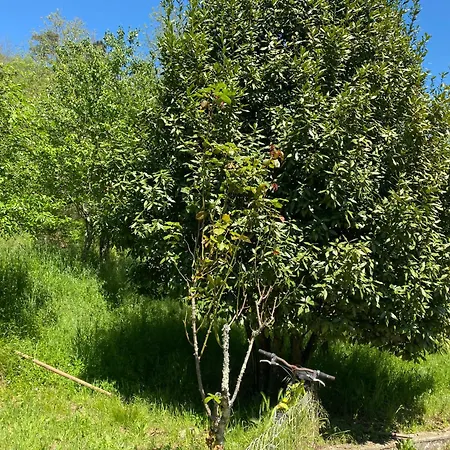 Appartamento Woods House