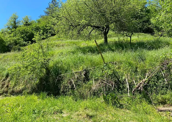 Daire Woods House Mangia