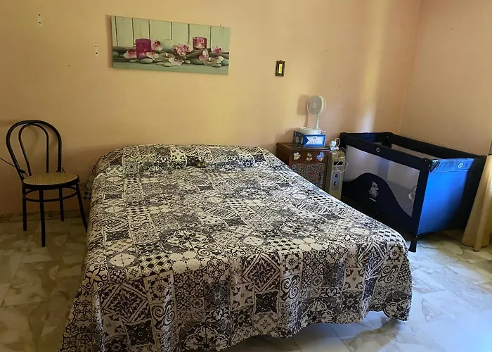 Woods House Daire Mangia